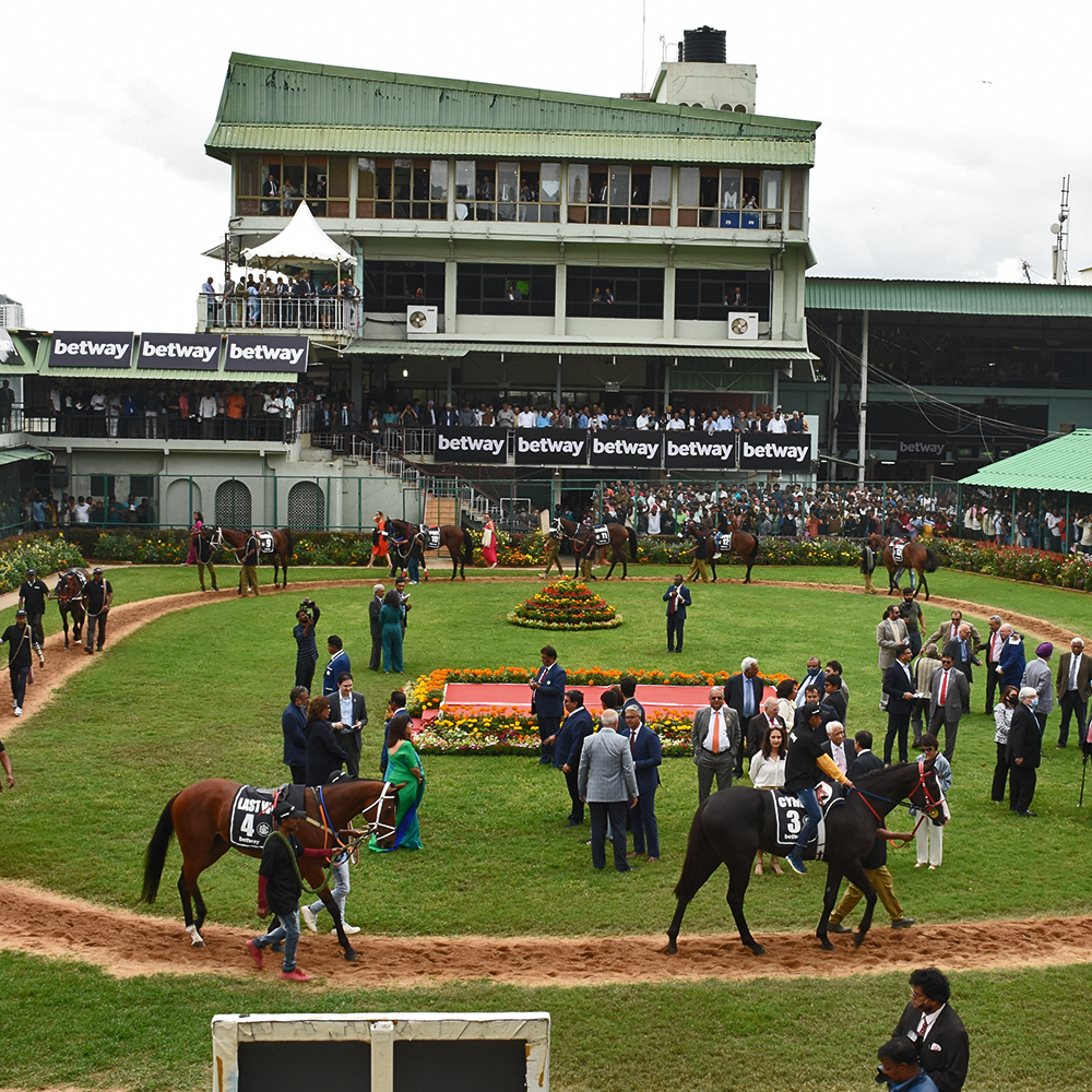 Sponsorship Rights and management